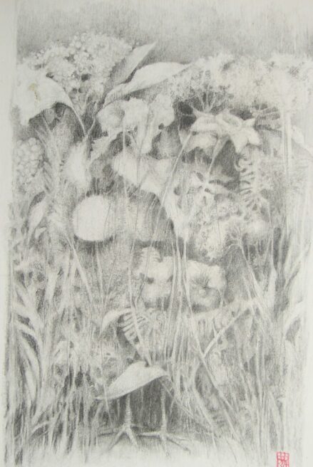 Dessins